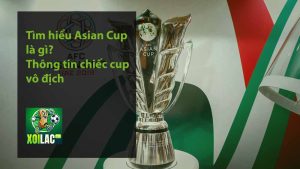 Tìm hiểu Asian Cup là gì - Thông tin chiếc cup vô địch